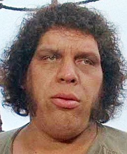 André the Giant