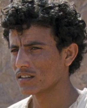 Hussein Salameh Al-Sweilhiyeen