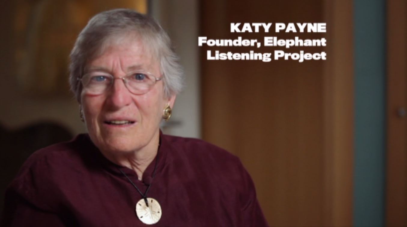 Katy Payne