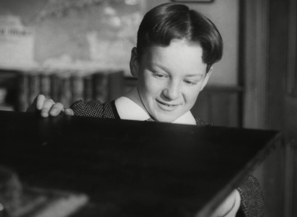 Matthew Guinness