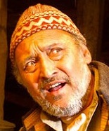 Victor Banerjee