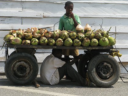 Africký sen