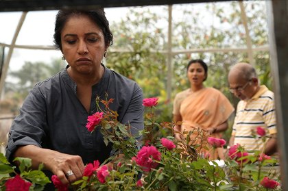 Amma Kanakku