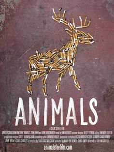 Animals
