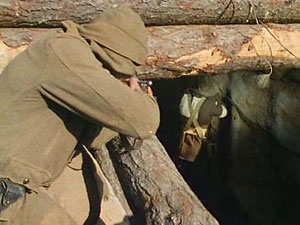 Anzacs