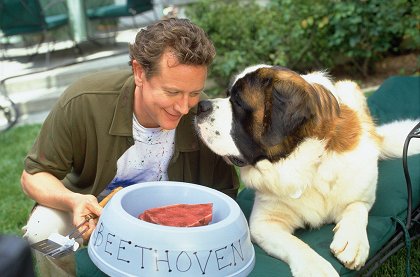 Beethoven 4