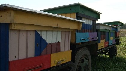 Češi na misi: Modlitba za Ukrajinu