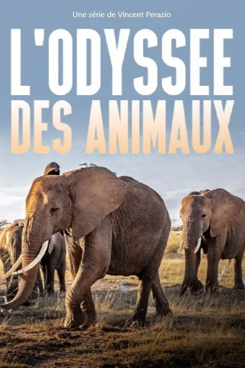 Cesta jihoamerické opice