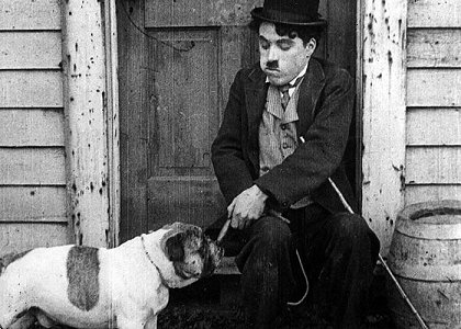 Chaplin boxerem