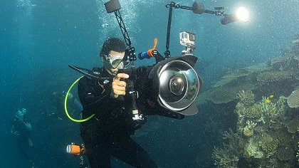Chasing Coral