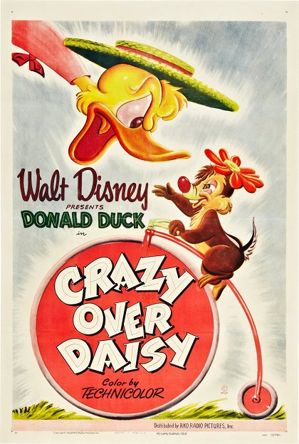 Crazy Over Daisy