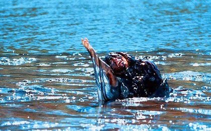 Creepshow: Plíživý děs