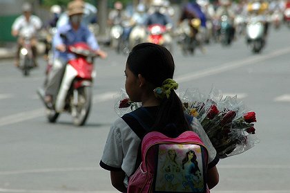 Cú và chim se sẻ