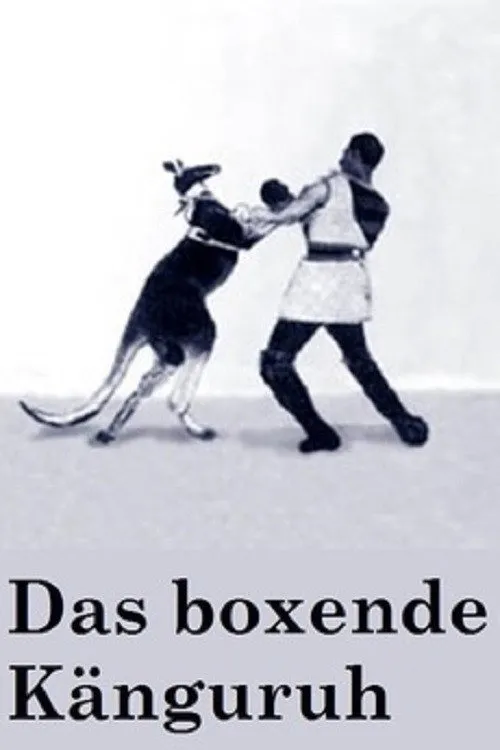Das Boxende Känguruh