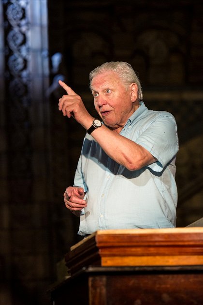 David Attenborough's Natural History Museum Alive
