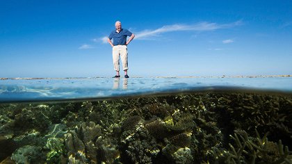 David Attenborough: Velký bariérový útes