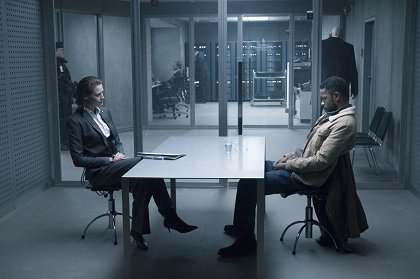 Dívka v pavoučí síti