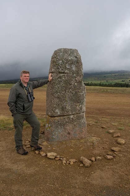 Divoká Francie