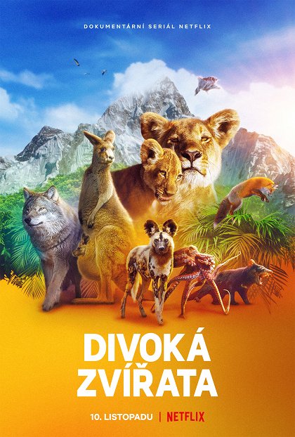 Divoká zvířata