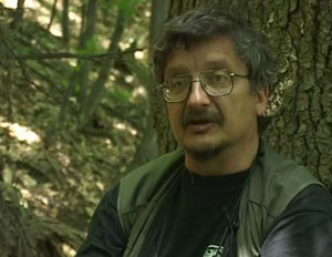Divoké Karpaty