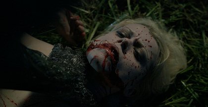 Don't Fuck in the Woods