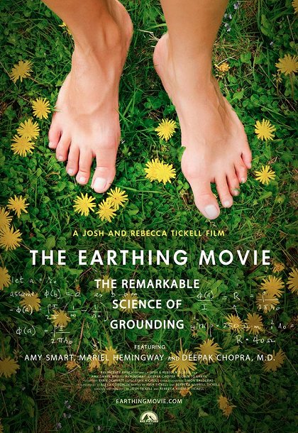 Down to Earth: The Remarkable Science of Grounding