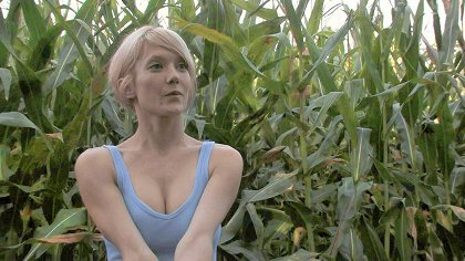 Fields of the Dead