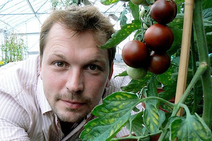 Geneticky modifikované potraviny