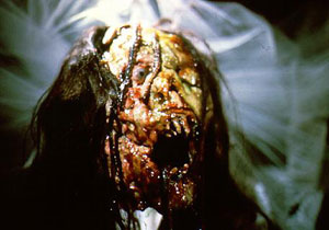 Girls School Screamers