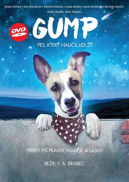 Gump - pes, který naučil lidi žít