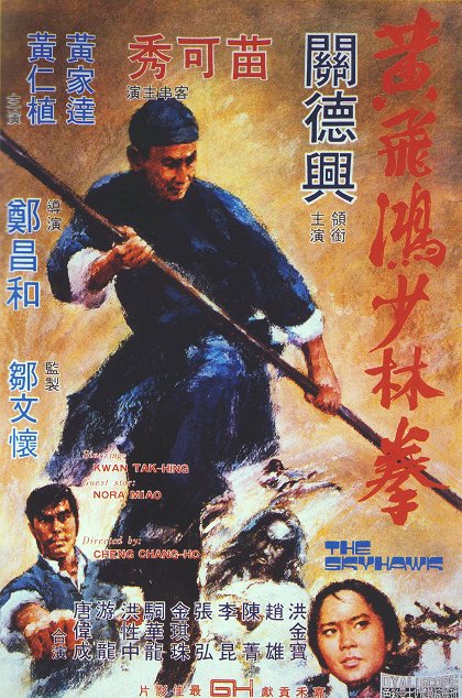 Huang Fei-hong xiao lin quan