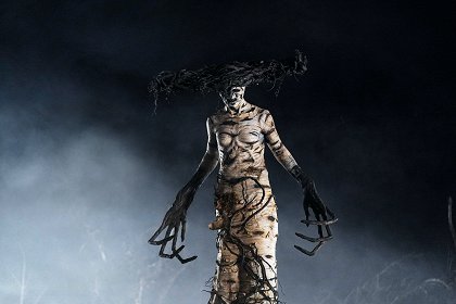 Into the Roots