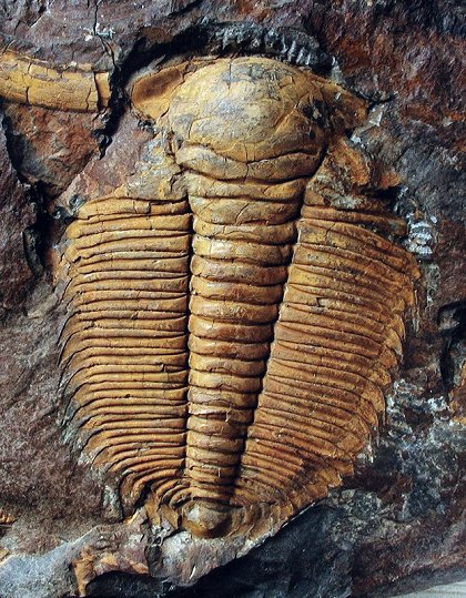 Kameny v pohybu
