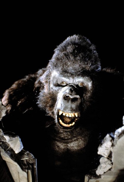 King Kong žije