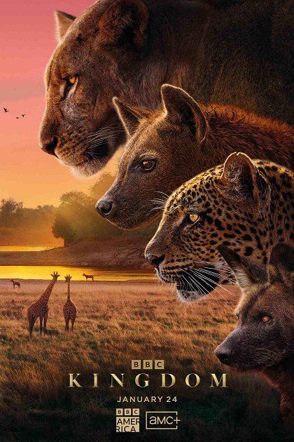 Kingdom