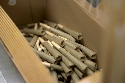 Konopí - zázračná droga?
