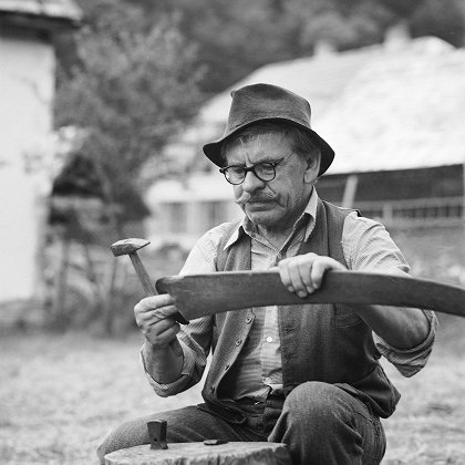 Kosenie jastrabej lúky