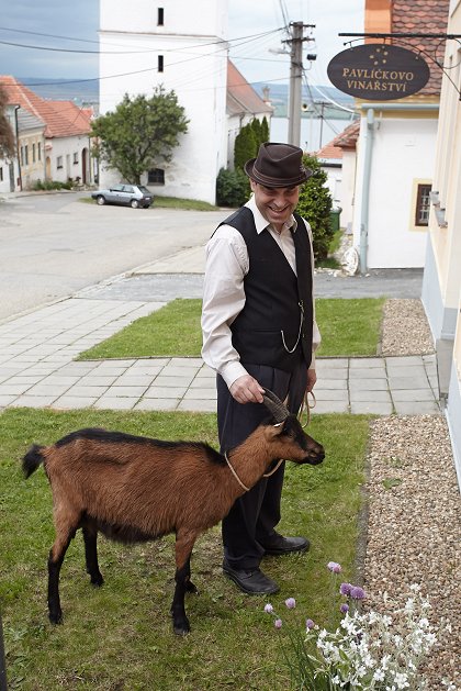 Košt