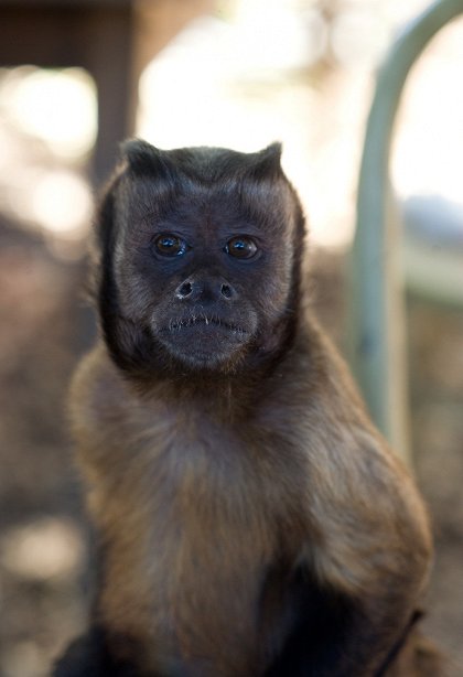 Koupili jsme ZOO