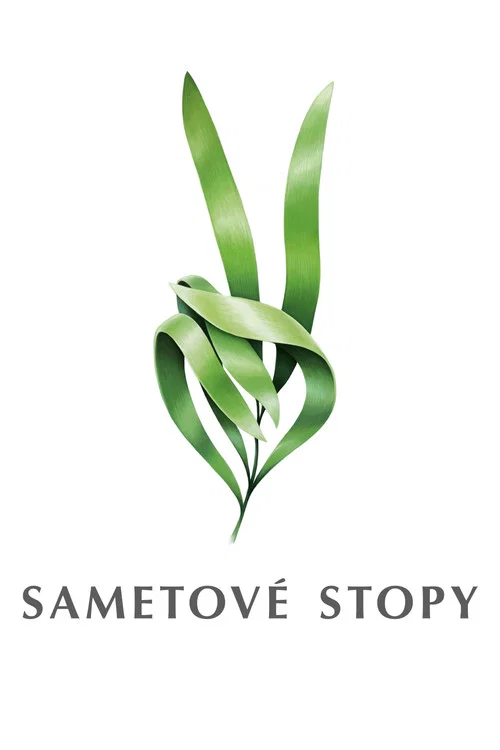 Krize v České televizi