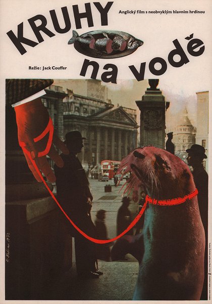 Kruhy na vodě