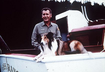 Lassie a Neeka