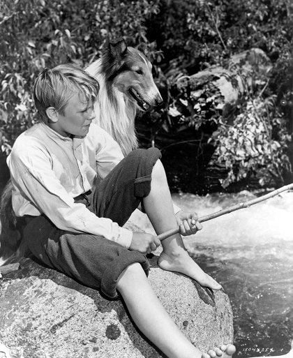 Lassie – Malované kopce