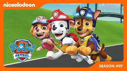 Lesní tlapky a skrytá džungle