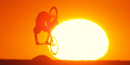 Life Cycles