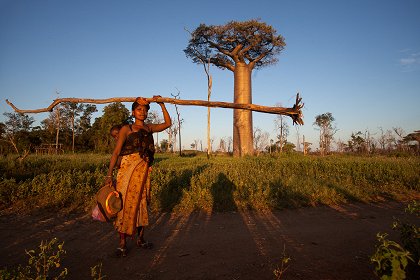 Madagaskar - laboratoř Země