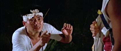 Mao shan jiang shi quan