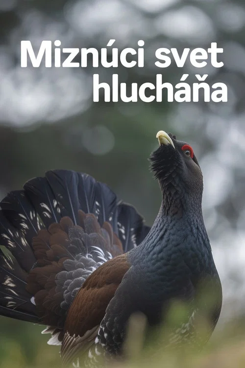 Miznúci svet hlucháňa