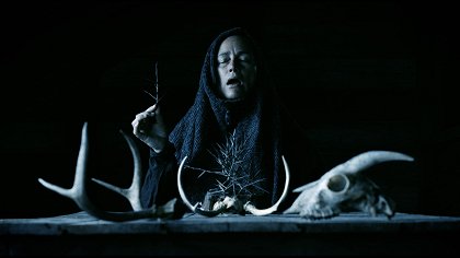 Mother of Flies