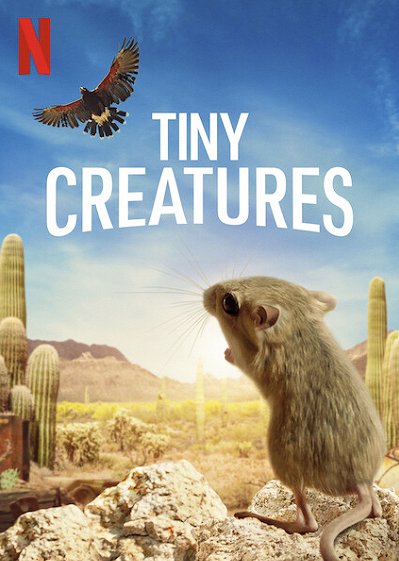 Nejmenší drobečci